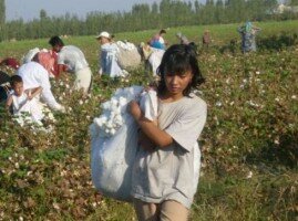 UZBEKISTAN_-_cHILDREN_Cotton