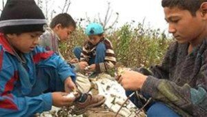 UZBEKISTAN_(F)_1810_-_Cotone