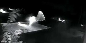 ufo in Florida