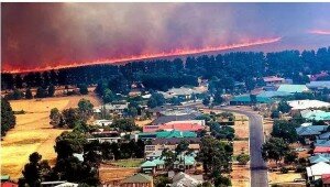 incendio gisborne
